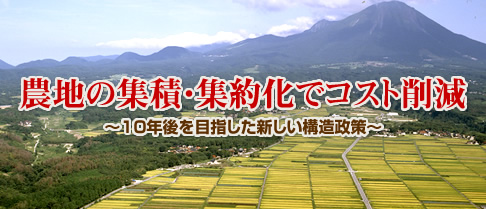 農地の集積・集約化でコスト削減～10年後を目指した新しい構造政策～