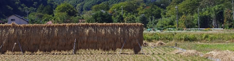 kashiuke2014_img01.jpg