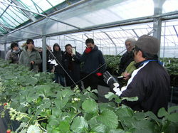 afs(H23・12・17) 059.jpg