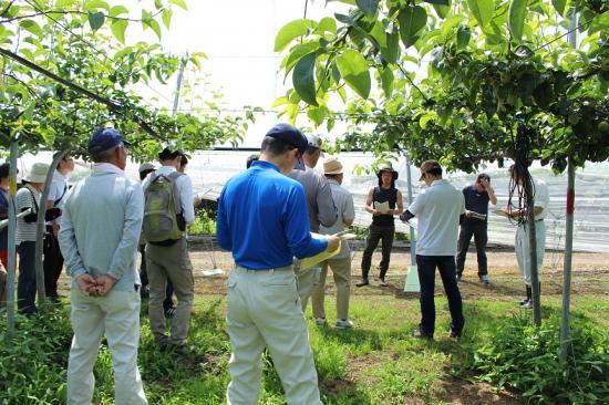 ６月２３日、２４日に「鳥取県ふるさと就農体験研修」を開催しました。